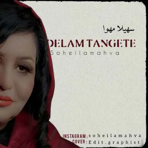 دانلود آهنگ دلم تنگته از سهیلا مهوا